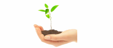 Grow : Community of Practice