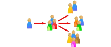 Network : Join a Local Chapter